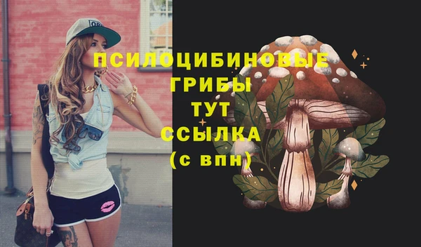 не бодяженный Нефтегорск